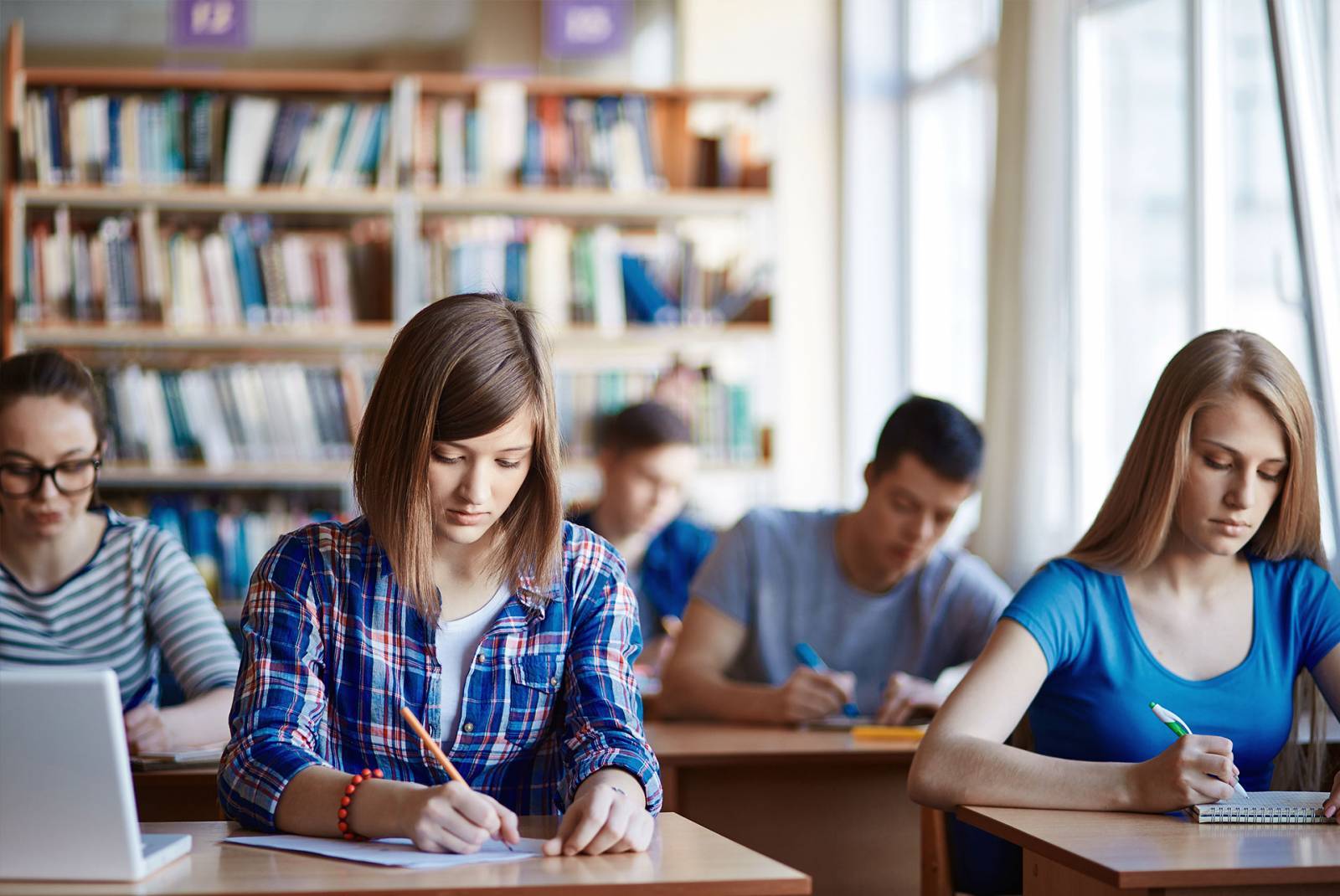 management et commerce en alternance