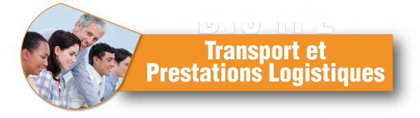 BTS TRANSPORT ET PRESTATIONS LOGISTIQUES A VITROLLES