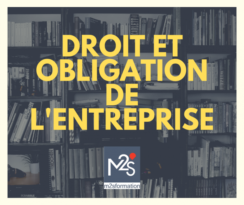 Droit et Obligation de l'entreprise - Les ordonnances Macron ou la nécessaire actualisation du droit du travail