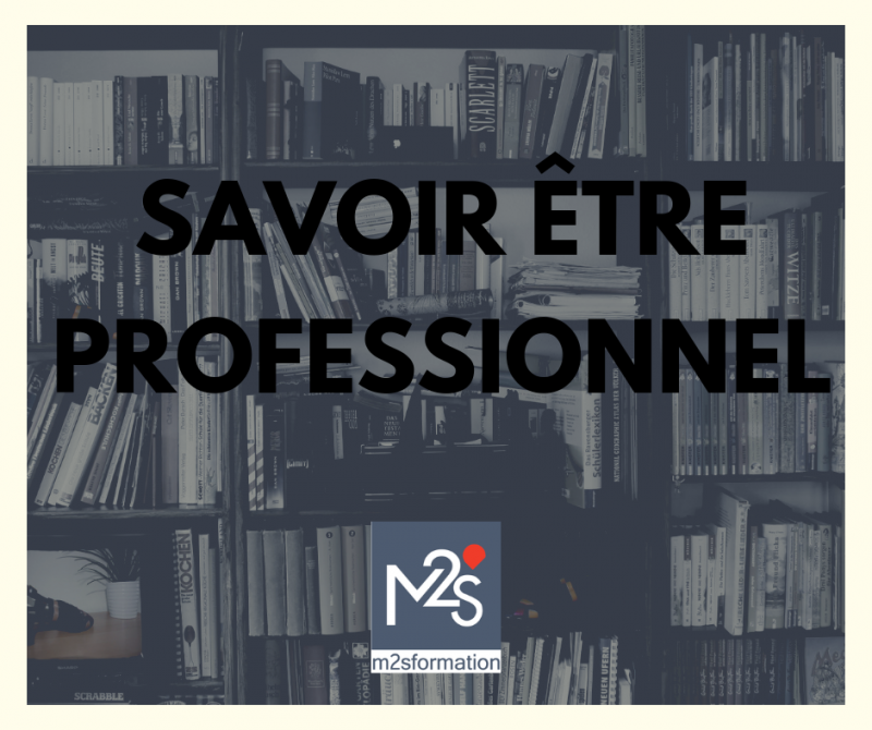 Savoir-être professionnel - Savoir-être professionnel en entreprise